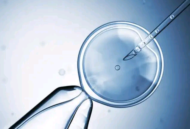 北京国际助孕中心|2023
年沈阳供卵试管医院排名