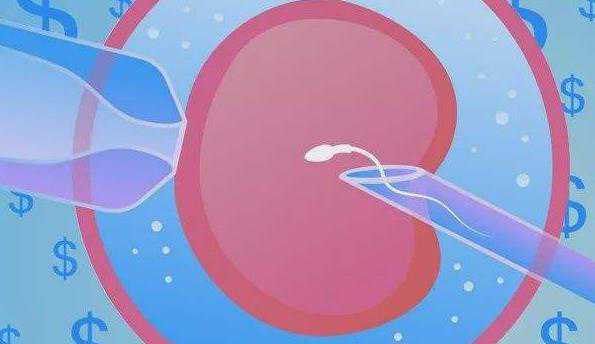 厦门供卵代生公司-内蒙供卵助孕步骤